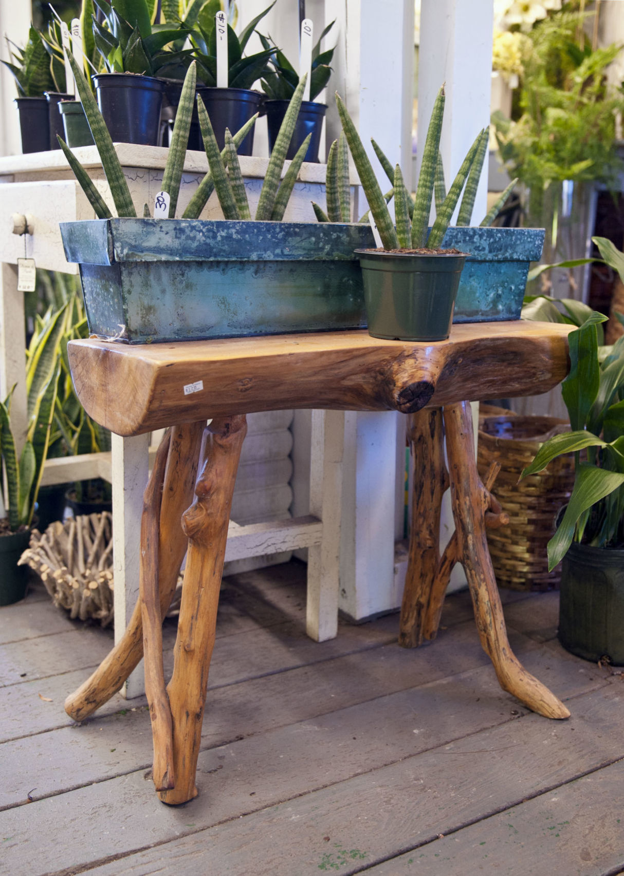 Plant stands